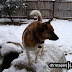 DSC07914.JPG