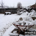 . . .everything in the back yard buried under 9 inches of snow. . .