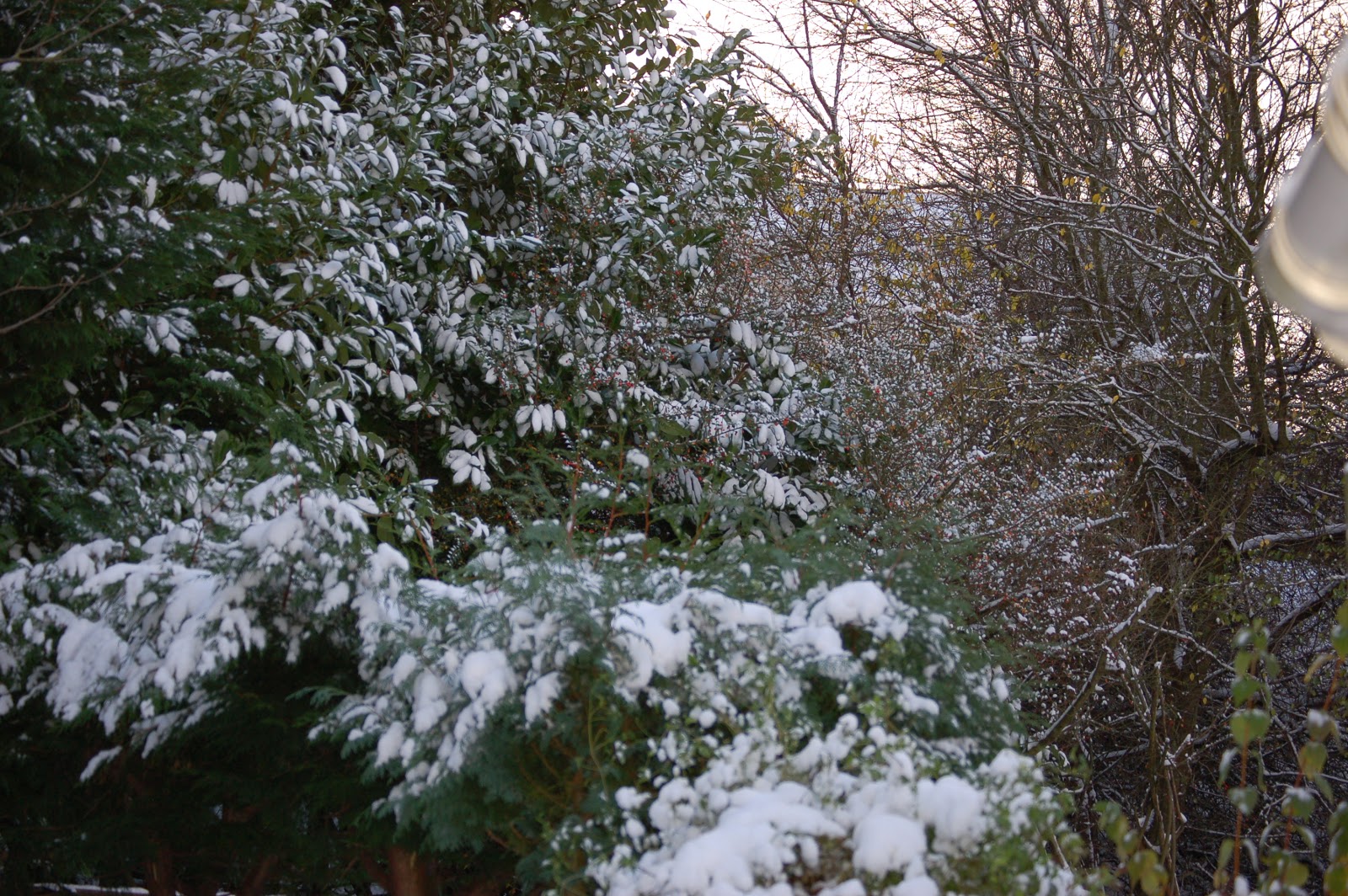 [DSC_3925.JPG]