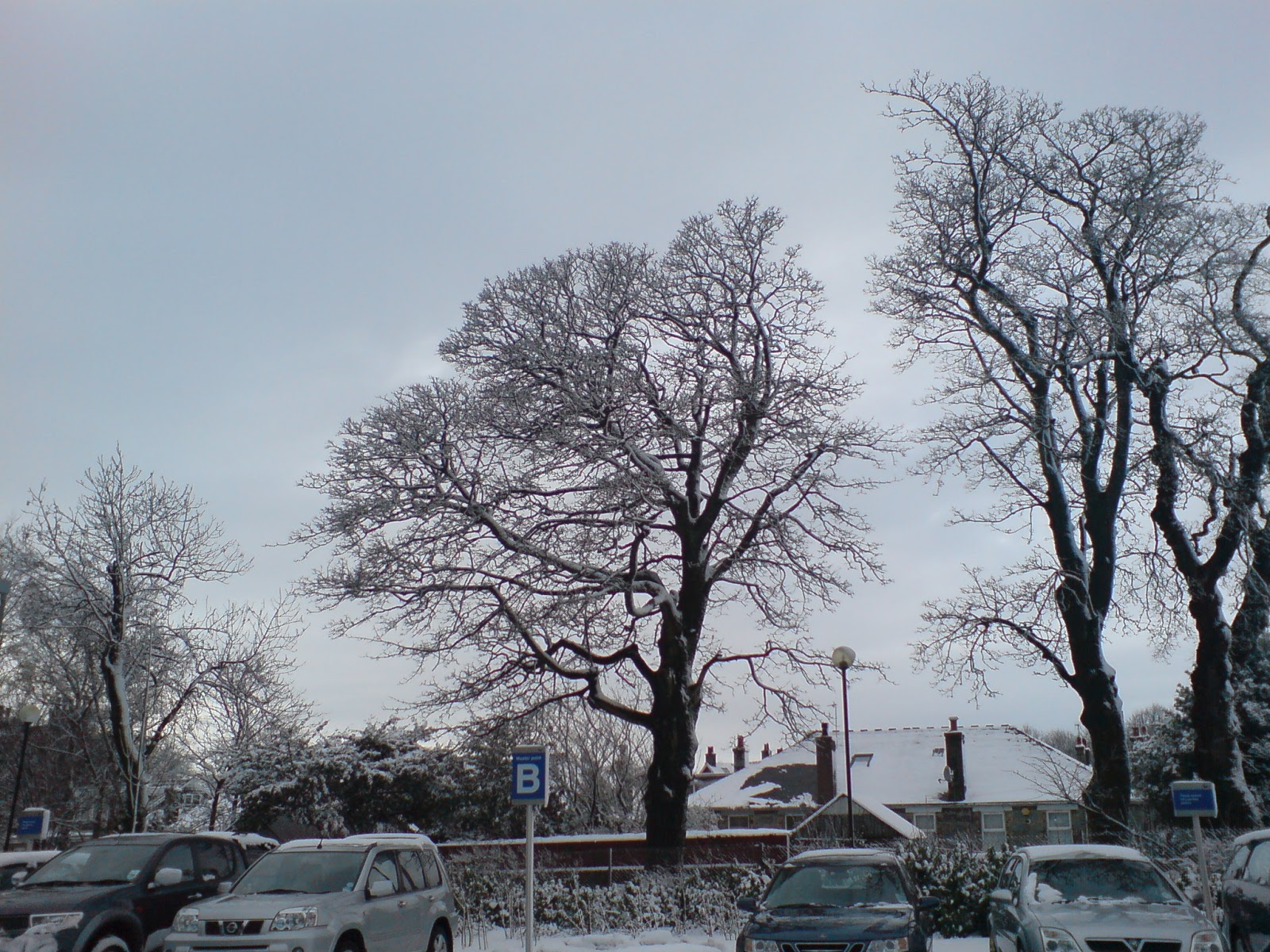 [DSC00278.JPG]