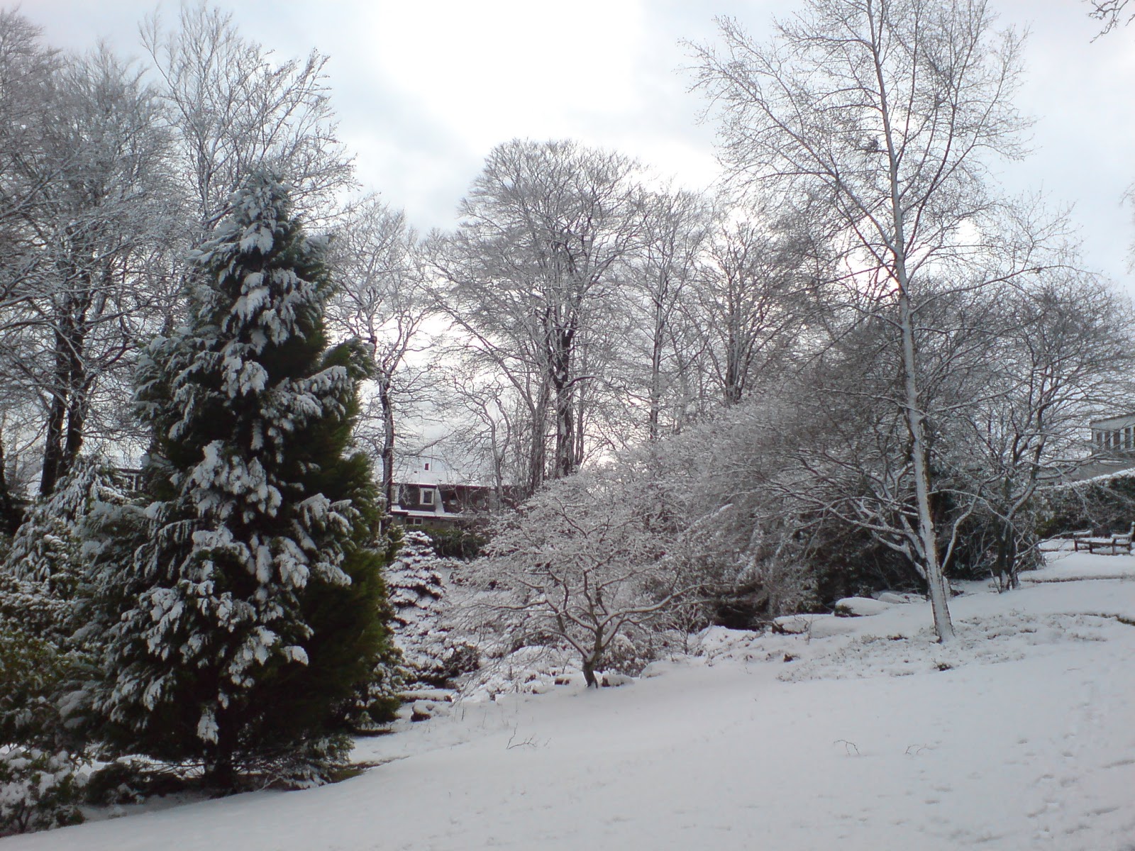 [DSC00285.JPG]