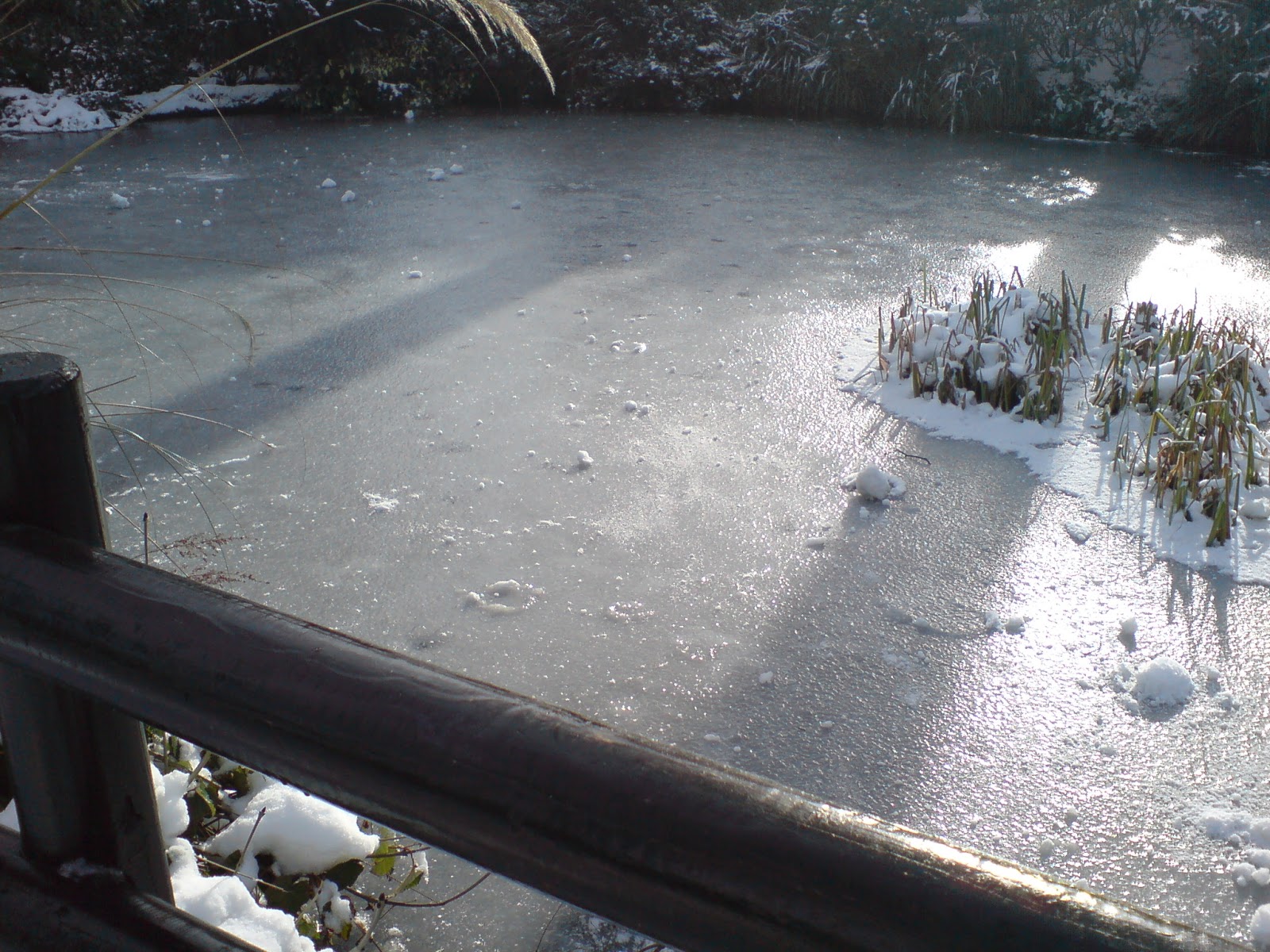 [DSC00298.JPG]