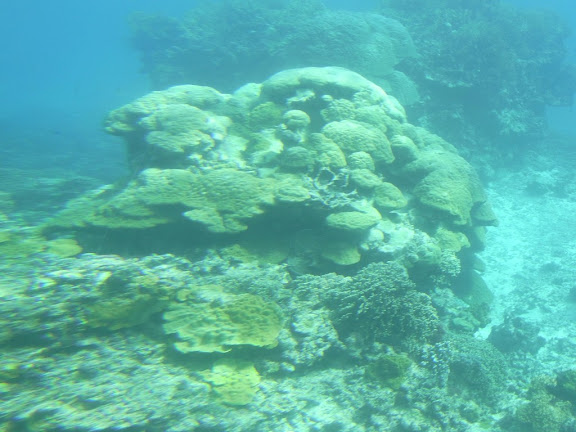 R0013074.JPG