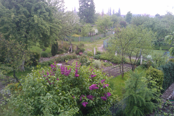 IMAG0289.jpg