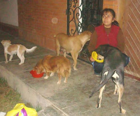 huaral12.jpg