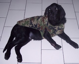 m_Gaston 001.jpg