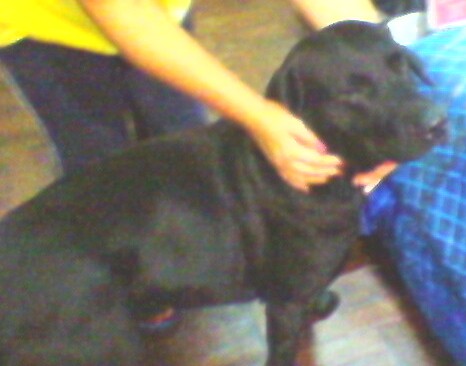 encontrado en Lince 10 abril.jpg