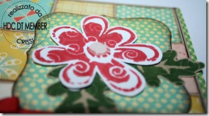 IMG_1083 IMG_1083