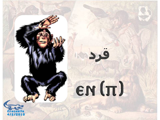 %D8%B7%C2%B4%D8%B7%C2%B1%D8%B8%D9%B9%D8%B7%C2%AD%D8%B7%C2%A920.JPG