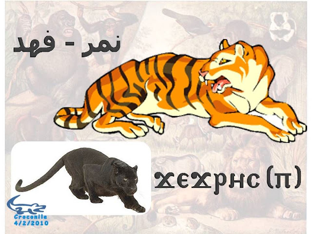 %D8%B7%C2%B4%D8%B7%C2%B1%D8%B8%D9%B9%D8%B7%C2%AD%D8%B7%C2%A913.JPG