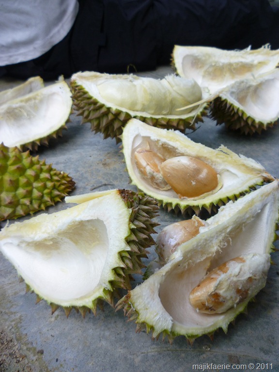 [27 durian[6].jpg]