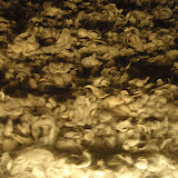 PB080471.JPG