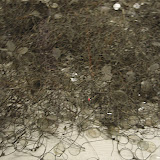 PB080473.JPG