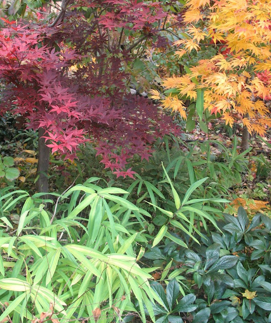 image306.jpg