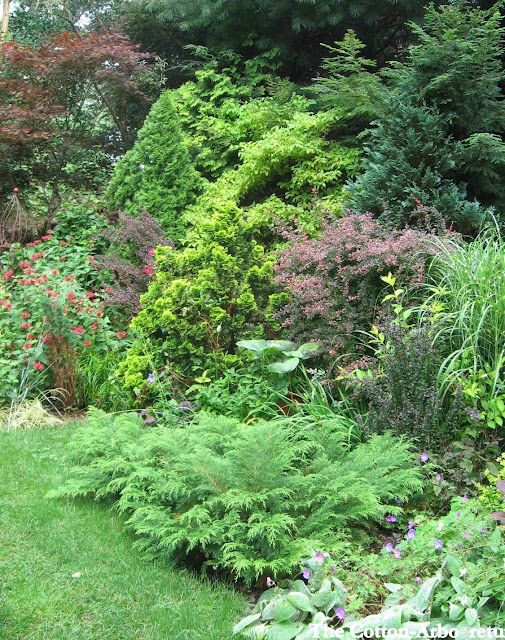 GARDEN ROBYN CB FROM LC.jpg