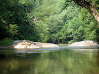 IMG_1139.jpg Photo