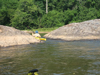 IMG_1141.jpg Photo
