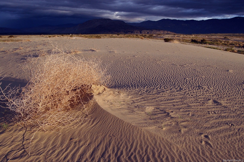 [DSC_0036[3].jpg]