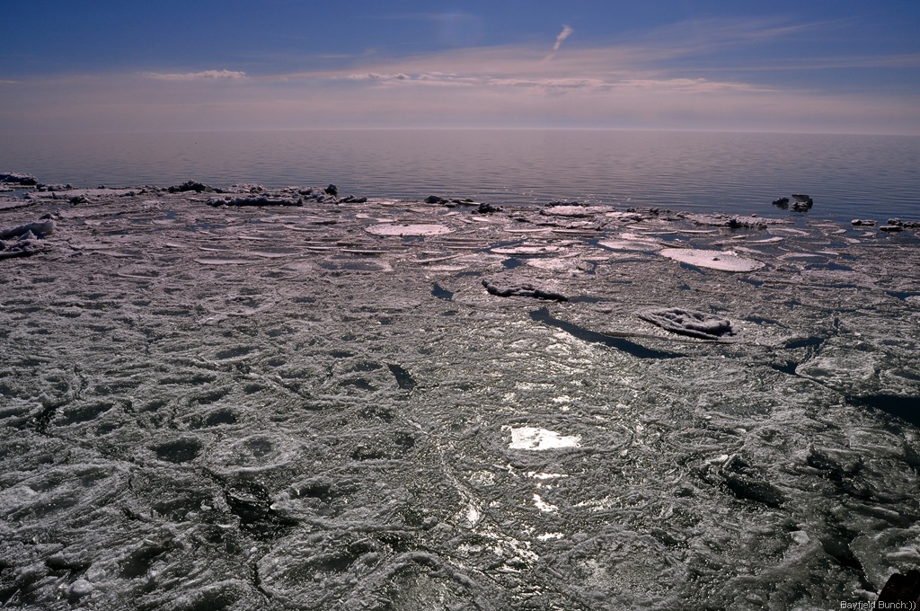 [DSC_0005[3].jpg]