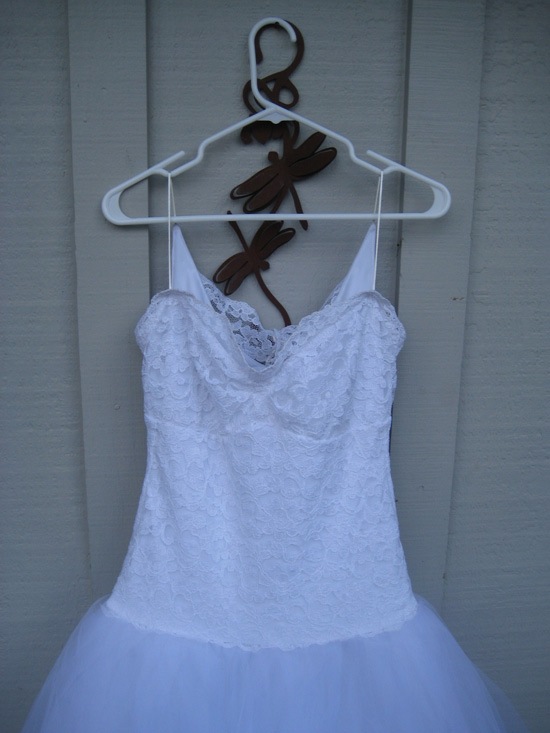 poodledress5 poodledress5