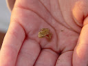 DSC08553.JPG