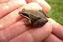Image022.jpg