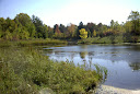 WH mitigated pond, looking south.jpg