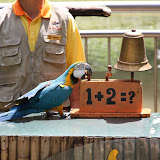 IMG_3947.JPG