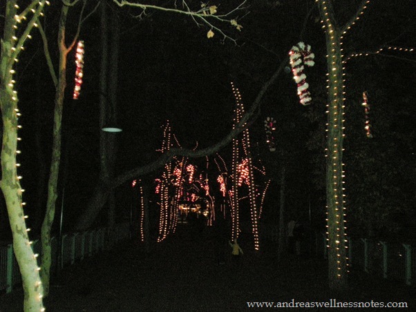[Winter Lights 05[5].jpg]