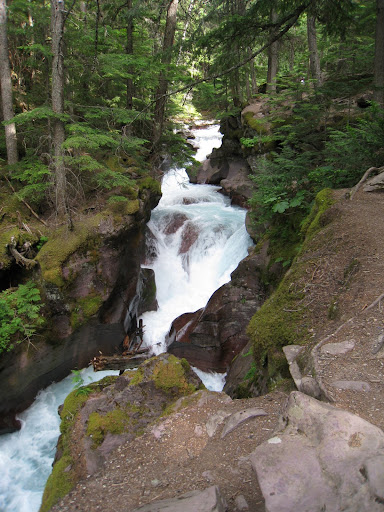 Exit stream from Avalanche Lake