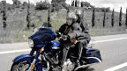 DSC01481.JPG