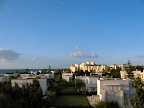 IMG_1851.JPG