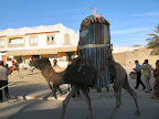 IMG_2144.JPG