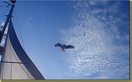 clip_image003