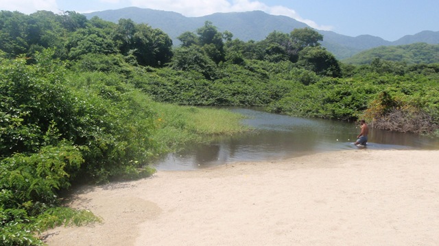 [P92500992.jpg]