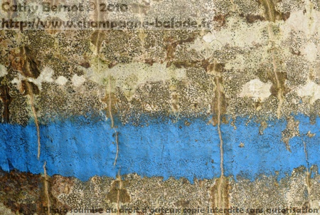 Marquage des troncs avant abattage par les forestiers: balade en forêt en hiver