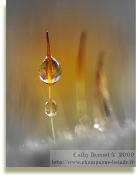 photo-picnik-retouche-image-eau-mousse-cadre
