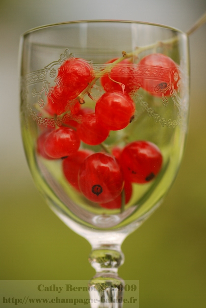 Grappe de groseilles dans verre gravé pour étiquette à gelée (photo macro)