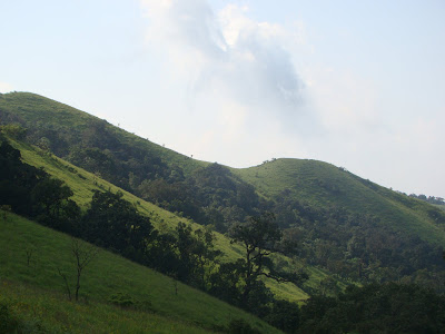 A view of Kodachadri hill
