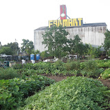 Houston 2008