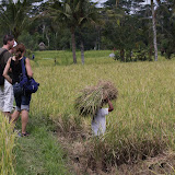 IMG_9999.JPG