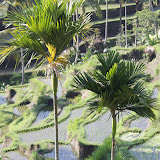 IMG_9757.JPG