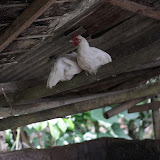 IMG_9822.JPG