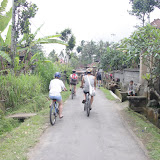 IMG_9886.JPG
