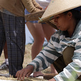 IMG_9950.JPG