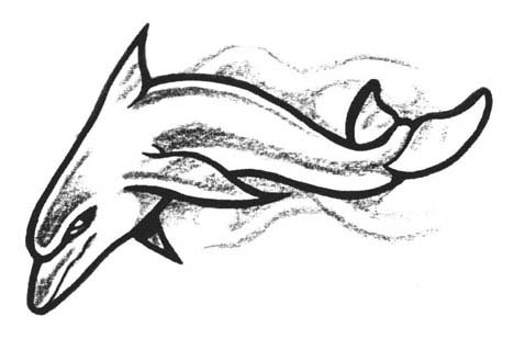 rose tattoo drawings rose tattoo drawings