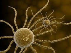 Célula cancerosa