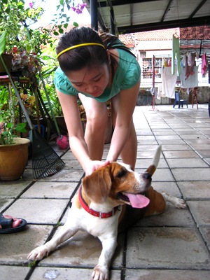 IMG_9165 IMG_9165