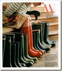 wellies-boots