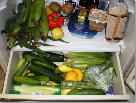 My fridge after putting away all the lovely stuff from the farmshare! LOOK AT ALL THAT CORN!